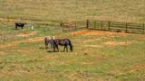 10721 County Road 6000 - Photo 5