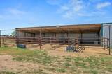 2604 Dana Street - Photo 47