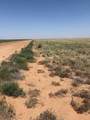  Elk Road - Photo 5