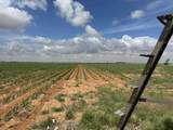  Cheyenne Road - Photo 10