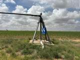  Cheyenne Road - Photo 6