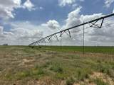  Cheyenne Road - Photo 7