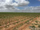  Cheyenne Road - Photo 9