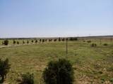 1510 U.S. 83 - Photo 178