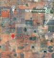  Horseshoe Road - Photo 1