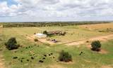 4166 County Road 13 - Photo 47