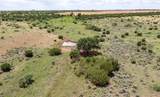 4166 County Road 13 - Photo 49
