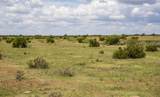 4166 County Road 13 - Photo 56