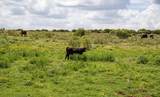 4166 County Road 13 - Photo 6