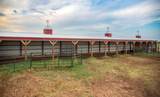 4166 County Road 13 - Photo 77