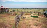 4166 County Road 13 - Photo 78