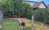 4166 County Road 13 - Photo 80