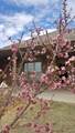 6407 95th Street - Photo 30