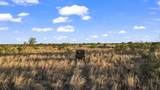  624 +/- Ac in Garza & Crosby Counties - Photo 8