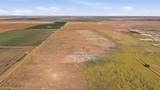 1701 State Rd 2646 - Photo 10