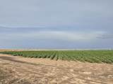  County Road 218 - Photo 7