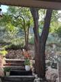 109 Lakeshore Drive - Photo 88