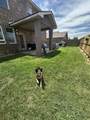 8702 10th Street - Photo 28