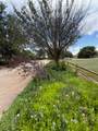 913 9th Street - Photo 42