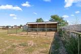 2604 Dana Street - Photo 10