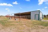 2604 Dana Street - Photo 6