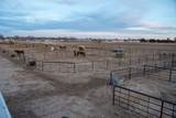 7811 County Rd 1540 - Photo 102