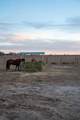 7811 County Rd 1540 - Photo 110