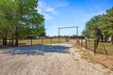 2604 Dana Street - Photo 2