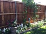 203 Navasota Drive - Photo 45