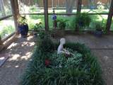 203 Navasota Drive - Photo 48