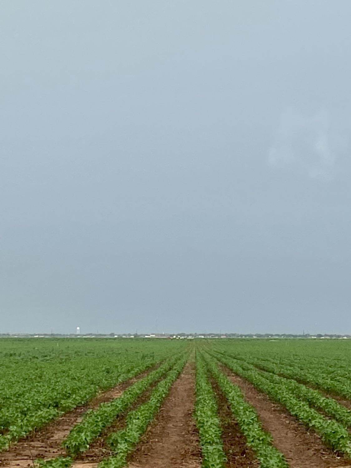 11204 Us Highway 62/82 - Photo 1