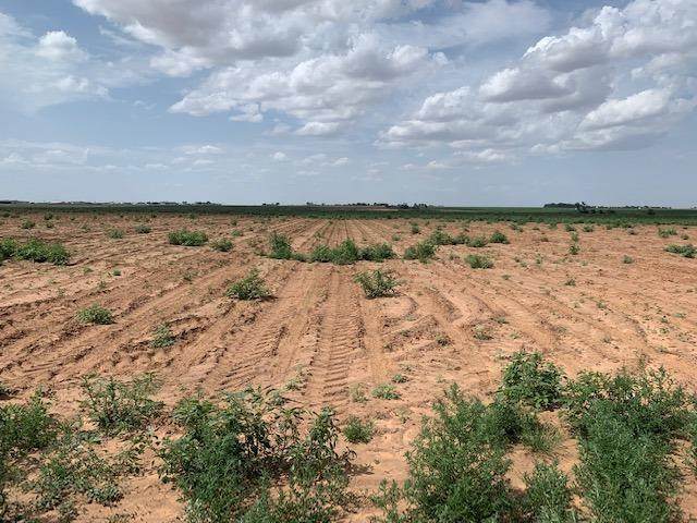 0-Lot 3 County Road 7900 - Photo 1