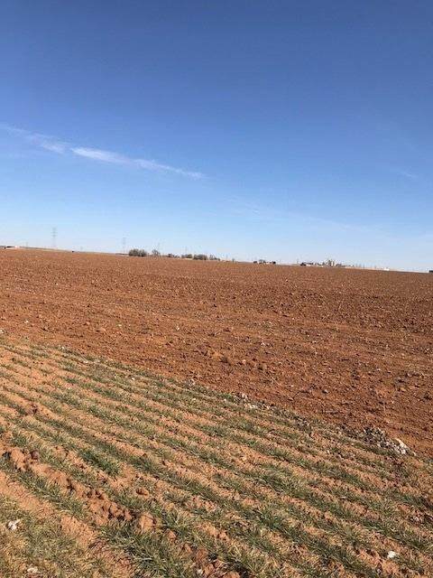 4606 Us Highway 84 - Photo 1