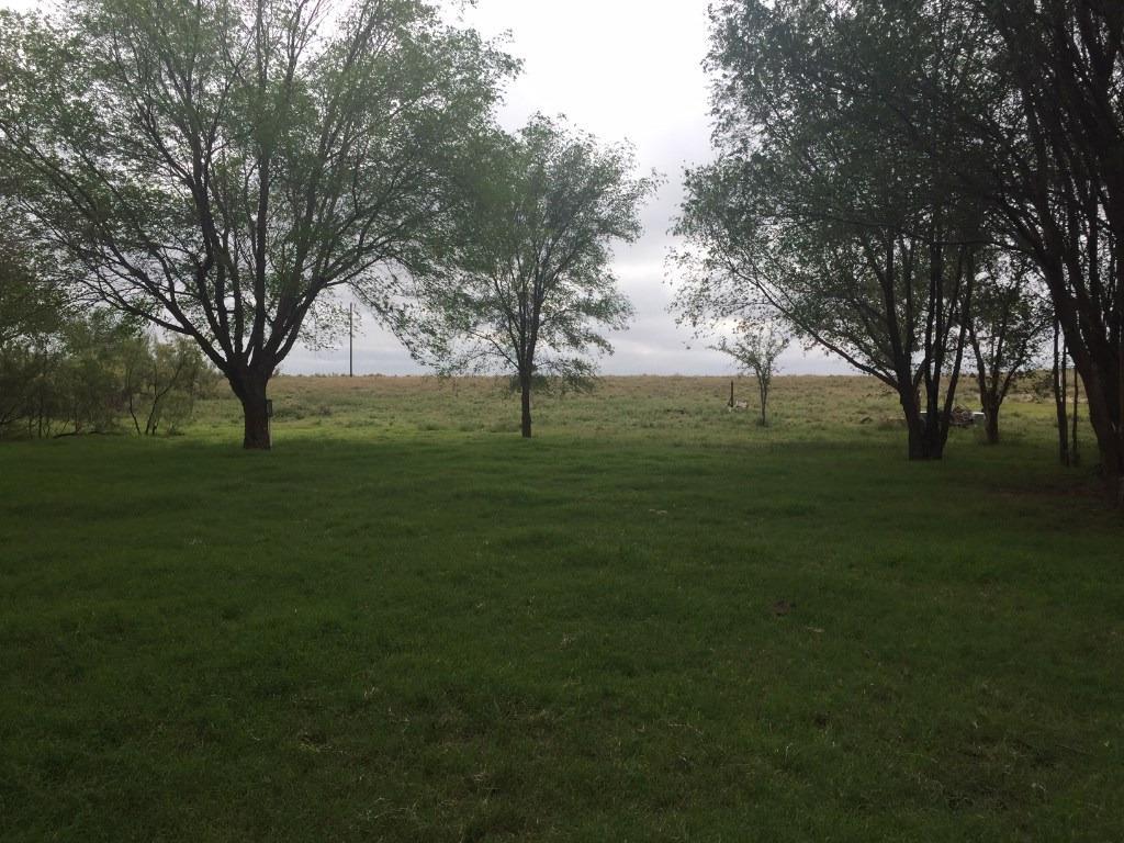 0 Farm Road 400 - Photo 1