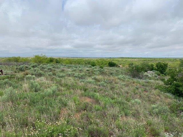 0 State Highway 70 - Photo 1