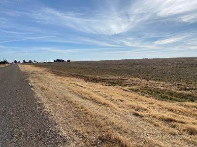 0-Lot 11 Farm Road 2060 - Photo 1