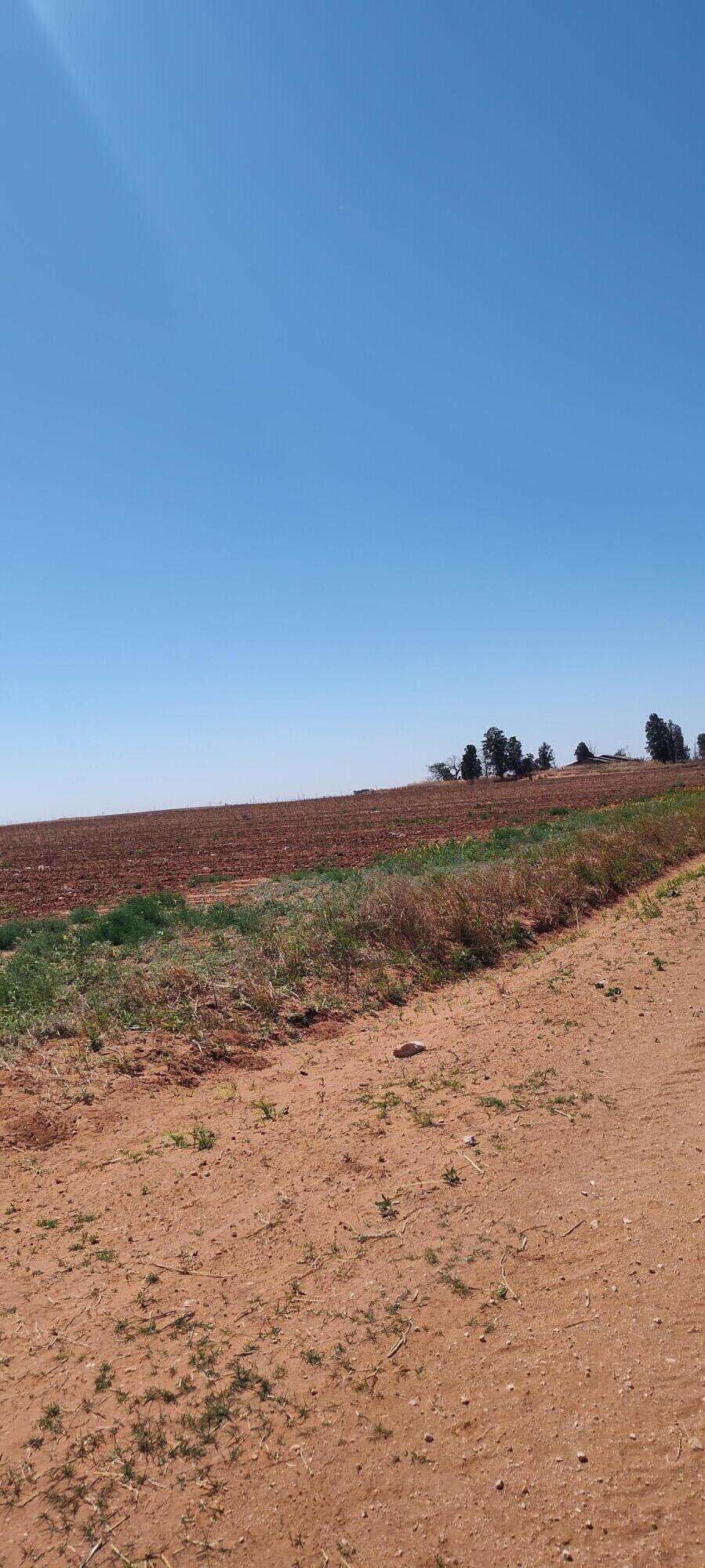 https://bt-photos.global.ssl.fastly.net/lubbock/1280_boomver_2_20260506174759830149000000-2.jpg