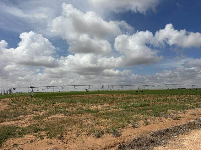 https://bt-photos.global.ssl.fastly.net/lubbock/orig_boomver_1_20260729214612853382000000-2.jpg