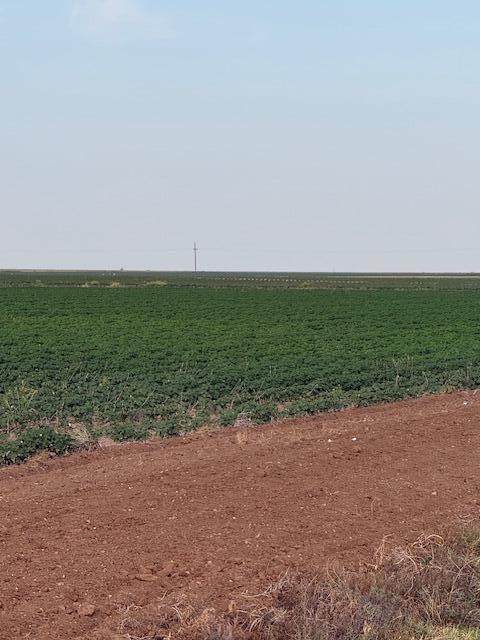 https://bt-photos.global.ssl.fastly.net/lubbock/orig_boomver_1_20260807161819968792000000-2.jpg