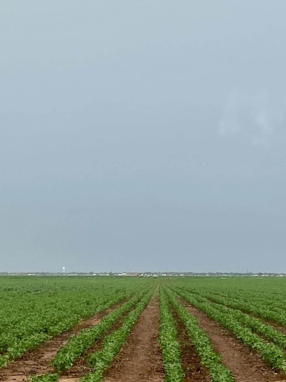 11204 Us Highway 62/82 - Photo 1