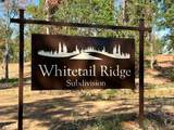 207 Rebel Cove - Photo 4