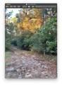 Sect. 16 Lot 75 Dove Lane - Photo 1