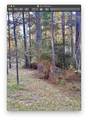 Sect. 16 Lot 75 Dove Lane - Photo 3