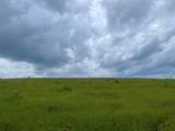 Lot 267 Lakeland Ranch - Photo 17