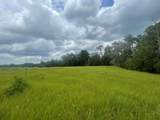 Lot 267 Lakeland Ranch - Photo 19