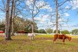 Lot 267 Lakeland Ranch - Photo 24