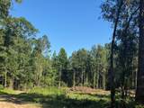R37357 tract 3 Highway 69 - Photo 1
