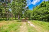 1950 Buckhorn Creek Dr - Photo 11