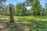 1590 County Road 3801 - Photo 16