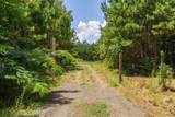 Parcel # 28356 Fm 1751 - Photo 10